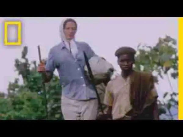 Video: Dian Fossey: Secrets in the Mist | National Geographic